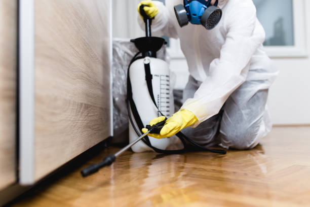 Best Pest Control for Homes  in Junction City, CA