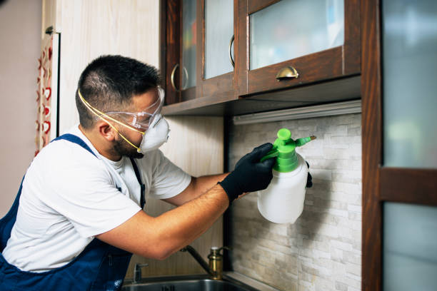 Insect Control in Junction City, CA