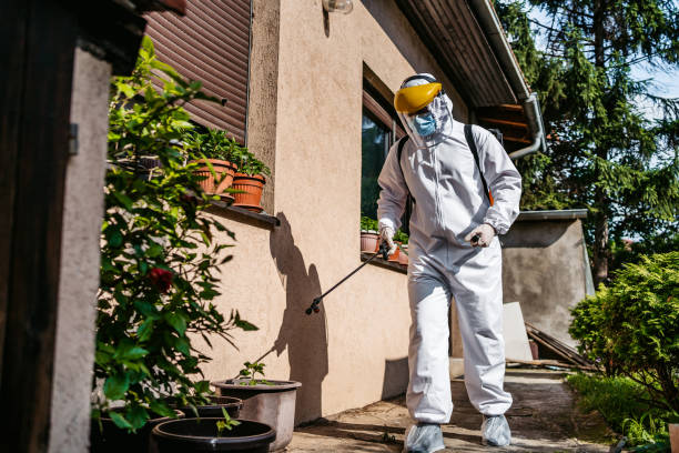 Insect Control in Junction City, CA