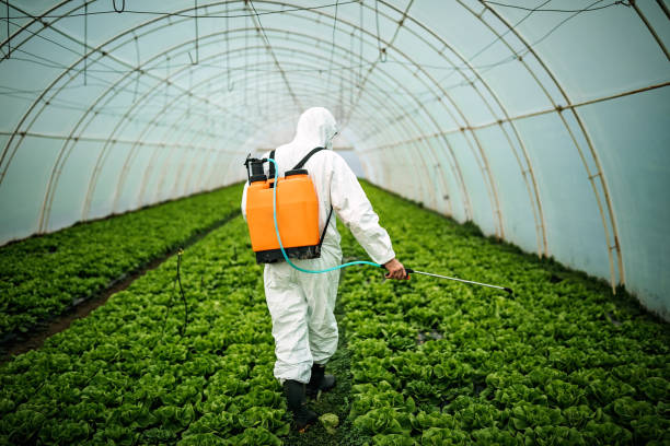 Best Commercial Pest Control Services  in Junction City, CA