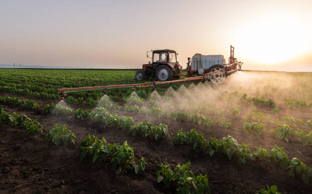 Reliable Junction City, CA Pest Control Solutions