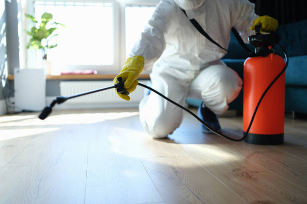 Wildlife Control Services in Junction City, CA
