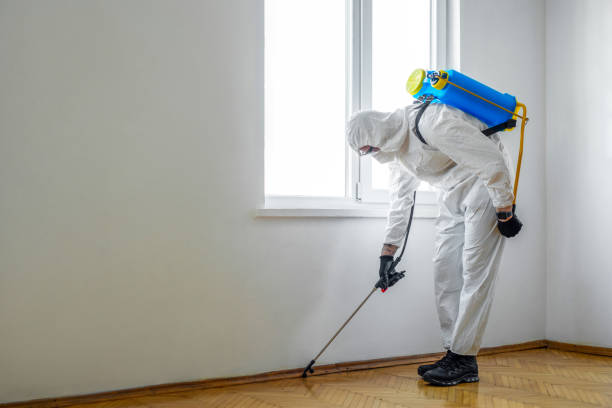 Best Mosquito Control Services  in Junction City, CA