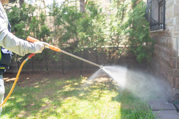 Pest Prevention Services in Junction City, CA