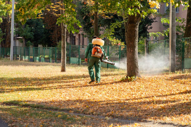 Best Cockroach Control Services  in Junction City, CA