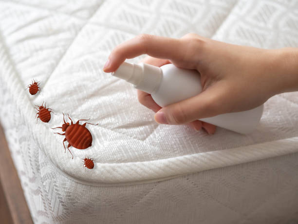 Pest Prevention Services in Junction City, CA