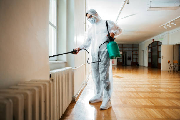 Best Pest Prevention Services  in Junction City, CA