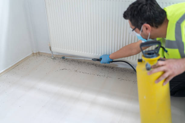 Best Exterminator Services  in Junction City, CA